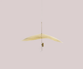 Float Hanging Light