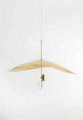 Float Hanging Light