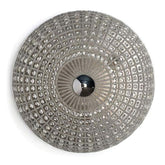 Bouclier Silver Wall Light