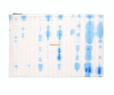 Stained by the Sea Pouch