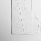 Flowers In The Field