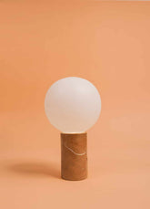Blow Salmon Table Lamp